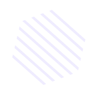 FlowZilla IT Solutions