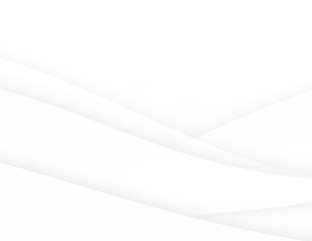 FlowZilla%20IT%20Solutions